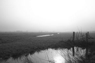 Iconographie - Le marais dans le brouillard