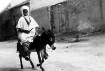 Iconographie - Algérie - Arabe sur un âne