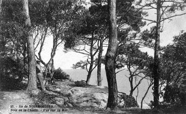 Iconographie - Bois de la Chaize - Vue sur la mer