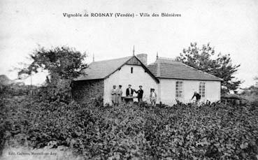 Iconographie - Vignobles de Rosnay - la Villa des Blénières