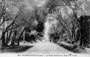 Iconographie - La route centrale du Bois de la Chaize