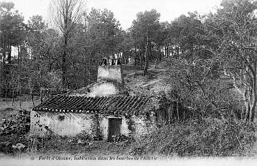 Iconographie - Forêt d'Olonne - Habitation dans les bourdes