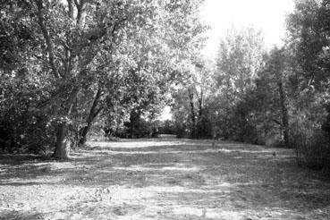 Iconographie - Le Raguenier - Pré près de la vigne