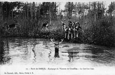 Iconographie - Equipage du vicomte de Chezelles - Le cerf bat l'eau