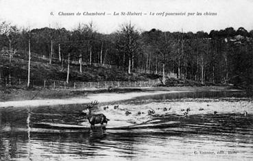 Iconographie - Chasse de Chambord - La Saint-Hubert - Le cerf poursuivi par les chiens