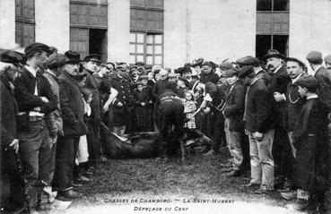 Iconographie - Chasse de Chambord - La Saint-Hubert - Dépeçage du cerf