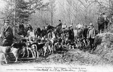 Iconographie - La chasse au sanglier - Avant l'attaque - Les chiens de la meute