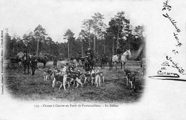 Iconographie - Chasse à courre en forêt de Fontainebleau - En défaut