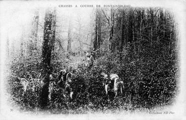 Iconographie - Chasse à courre de Fontainebleau - Hallali sur pied en forêt