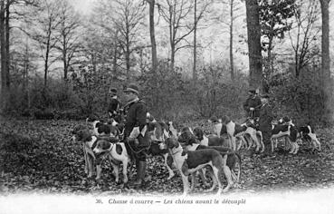 Iconographie - Chasse à courre - Les chians avant le découplé