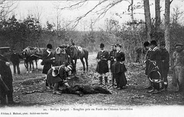 Iconographie - Rallye-Juigné - Sanglier pris en forêt de Château-Lavallière