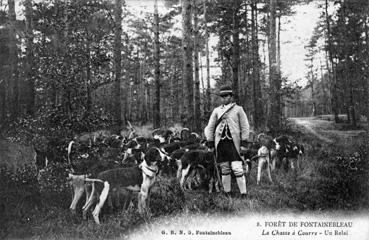Iconographie - Forêt de Fontainebleau - La chasse à courre - Un relai