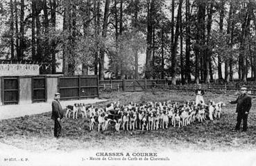 Iconographie - Chasse à courre - 3. Meute de chiens de cerfs et de chevreuils