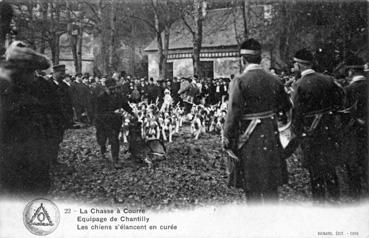 Iconographie - La chasse à courre - Equipage de Chantilly - Les chiens s'élancent en curée