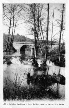 Iconographie - Forêt de Mervent - Le pont de la Vallée
