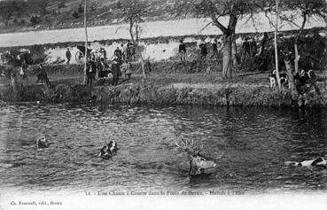 Iconographie - Une chasse à courre dans la forêt de Dreux - Hallali à l'eau