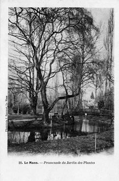 Iconographie - Promenade du jardin des Plantes