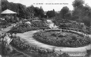 Iconographie - Un coin du jardin des Plantes