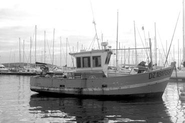 Iconographie - Morgat, bateau de pêche dans le port