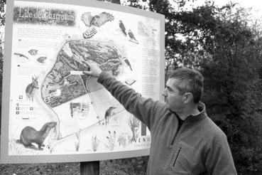 Iconographie - Réserve de l'île Charrouin - Situation de l'élevage de vaches maraîchines