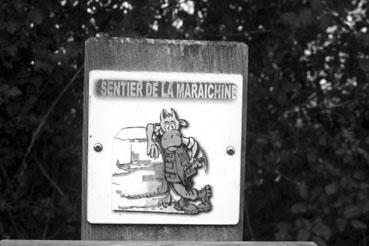 Iconographie - Circuit de la vache maraîchine