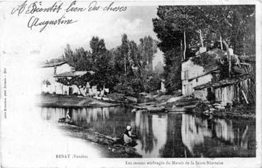 Iconographie - Les canaux ombragés du Marais de la Sèvre-Niortaise