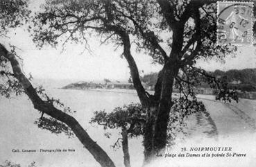 Iconographie - La plage des Dames et la pointe St-Pierre