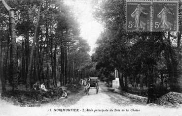 Iconographie - L'allée principale du Bois de la Chaize