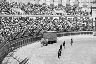 Iconographie - Les boeufs de la FAP dans le stadium du Grand Parc du Puy du Fou