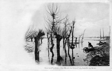 Iconographie - Les marais du Grand-Lay innondés en hiver