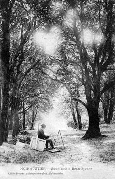 Iconographie - Sous-bois à Beau-Rivage