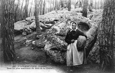 Iconographie - Sous les pins maritimes du Bois de la Chaize