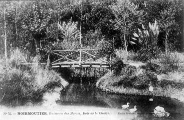 Iconographie - Ruisseau des Myrtes - Bois de la Chaize