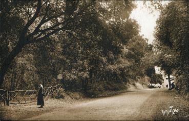 Iconographie - Avenue du Bois de la Chaize