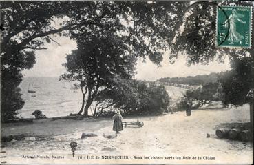 Iconographie - Sous les chênes verts du Bois de la Chaize