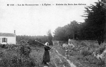 Iconographie - Entrée du bois des Eloux