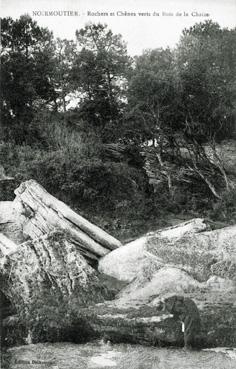 Iconographie - Rochers et chênes verts du Bois de la Chaize