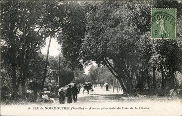 Iconographie - Avenue principale du Bois de la Chaize