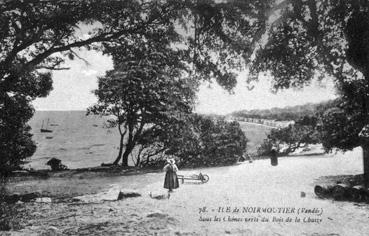 Iconographie - Sous les chênes verts du Bois de la Chaize