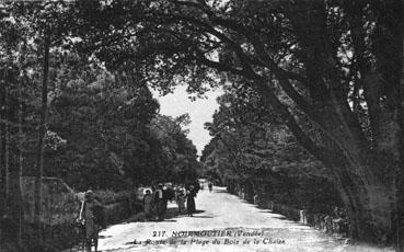 Iconographie - La route de la plage du Bois de la Chaize