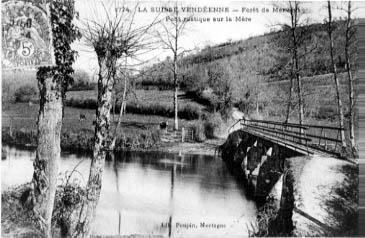 Iconographie - Forêt de Mervent, pont rustique sur la Mère