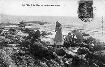 Iconographie - La vie à la mer - La pêche aux moules