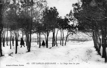 Iconographie - La neige dans les pins