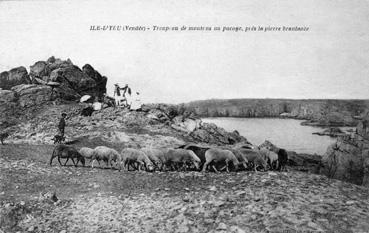 Iconographie - Troupeau de moutons au pacage, près la pierre branlante