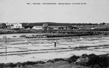 Iconographie - Marais salants - La récolte du sel
