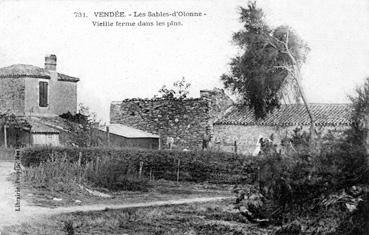 Iconographie - Vieille ferme dans les pins