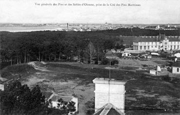 Iconographie - Vue générale des pins des Sables-d'Olonne, prise de la Cité des Pins Maritimes