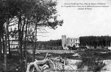 Iconographie - Dans la forêt des pins, côte de Saint-Jean-l'Orbestier