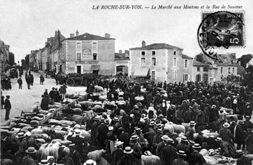 Iconographie - Le marché aux moutons et la rue de Saumur