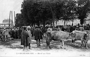 Iconographie - Marché aux vaches